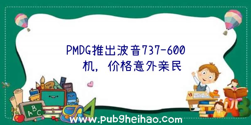 PMDG推出波音737-600飞机，价格意外亲民