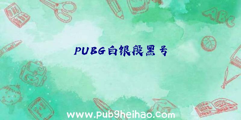 PUBG白银段黑号