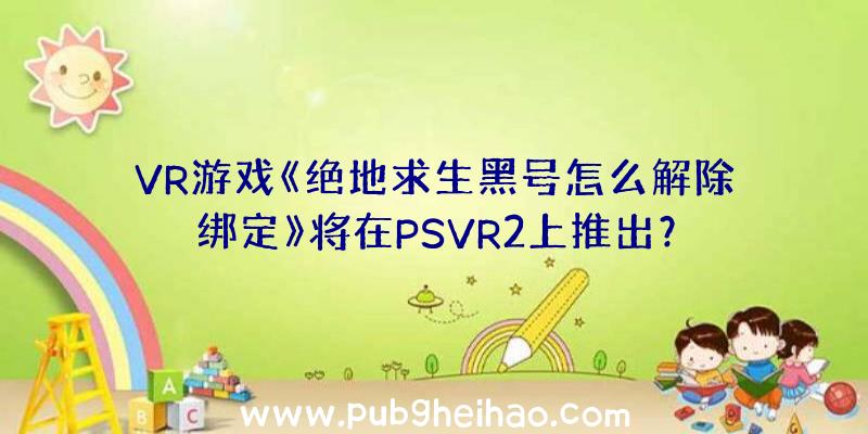 VR游戏《绝地求生黑号怎么解除绑定》将在PSVR2上推出？