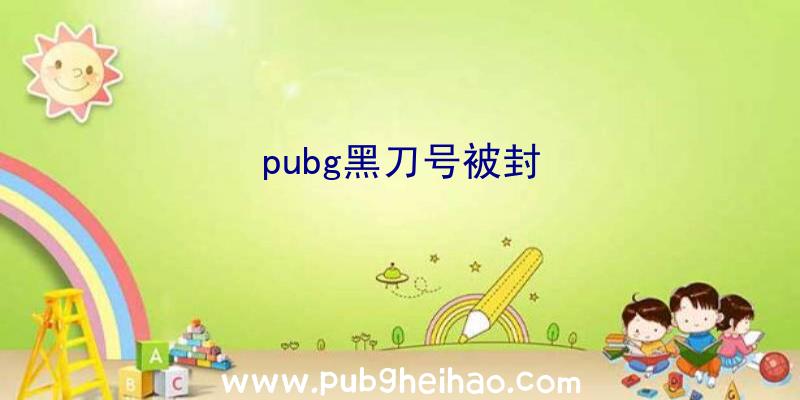 pubg黑刀号被封