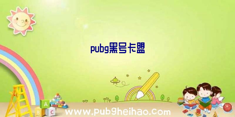 pubg黑号卡盟