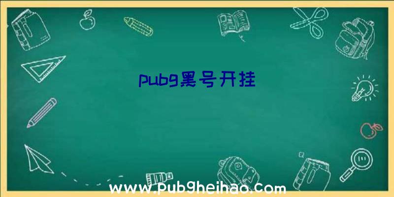 pubg黑号开挂