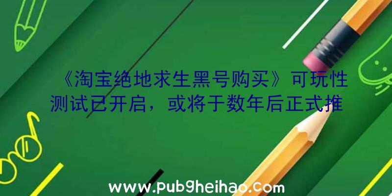 《淘宝绝地求生黑号购买》可玩性测试已开启，或将于数年后正式推出