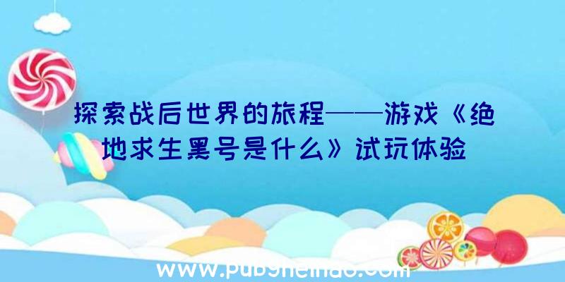 探索战后世界的旅程——游戏《绝地求生黑号是什么》试玩体验