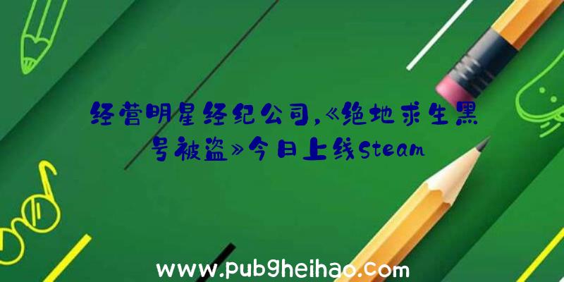 经营明星经纪公司，《绝地求生黑号被盗》今日上线Steam