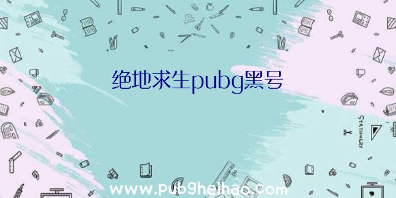 绝地求生pubg黑号