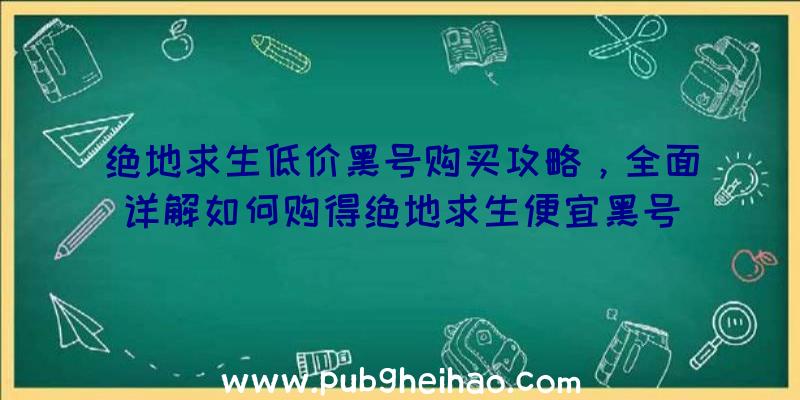 绝地求生低价黑号购买攻略，全面详解如何购得绝地求生便宜黑号