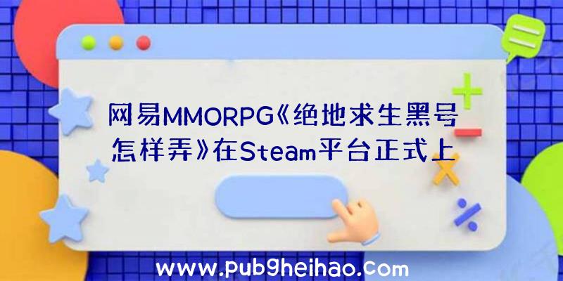 网易MMORPG《绝地求生黑号怎样弄》在Steam平台正式上线