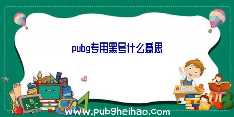 pubg专用黑号什么意思