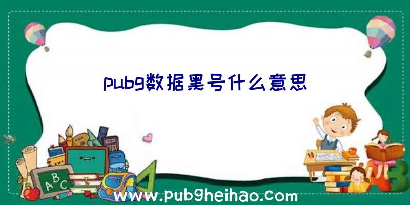 pubg数据黑号什么意思