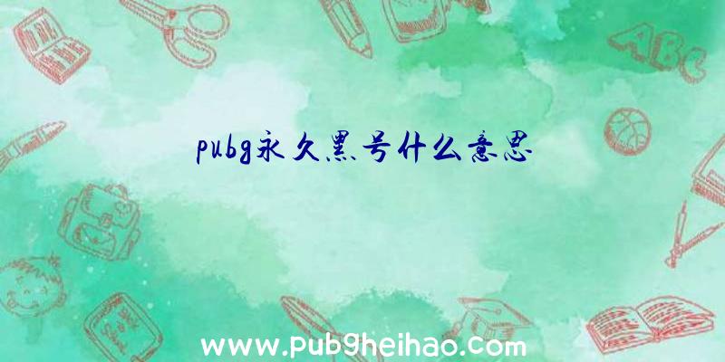 pubg永久黑号什么意思