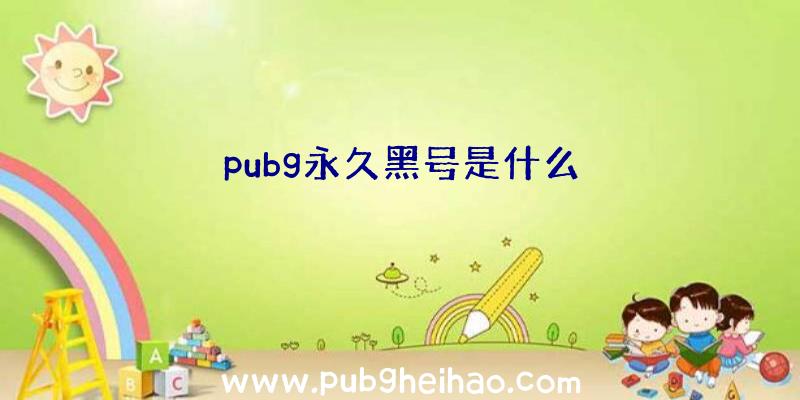 pubg永久黑号是什么