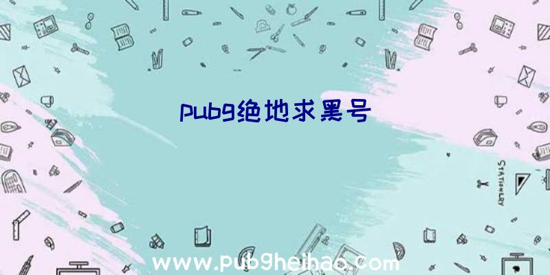 pubg绝地求黑号