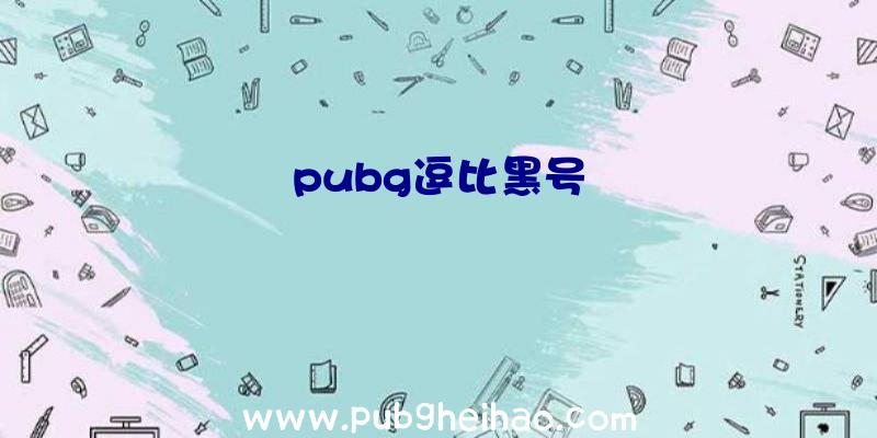 pubg逗比黑号