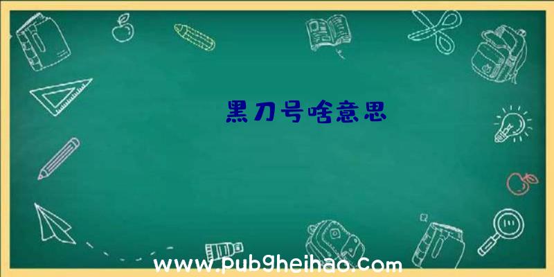 pubg黑刀号啥意思