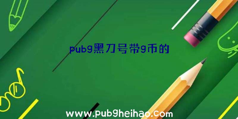 pubg黑刀号带g币的