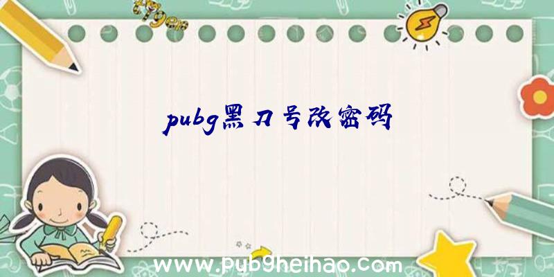 pubg黑刀号改密码