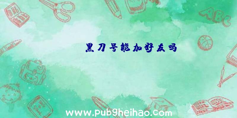 pubg黑刀号能加好友吗