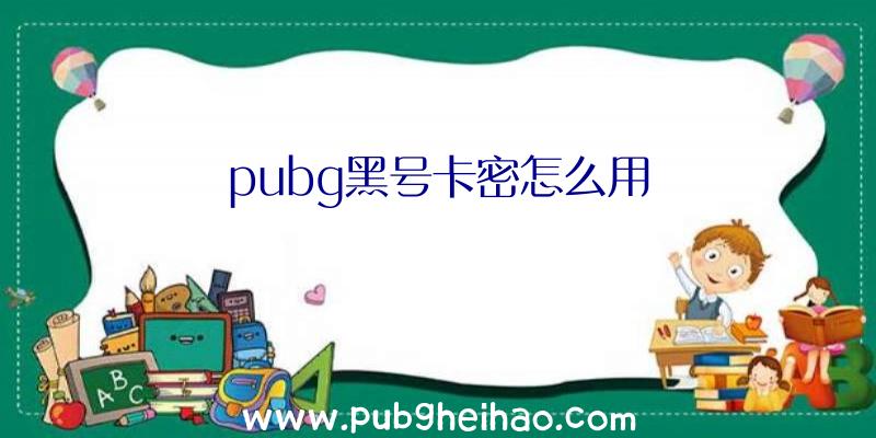 pubg黑号卡密怎么用