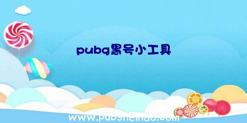 pubg黑号小工具