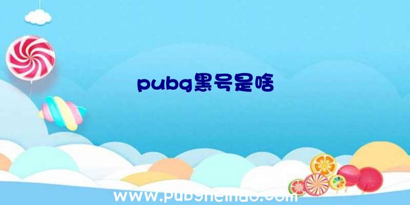 pubg黑号是啥