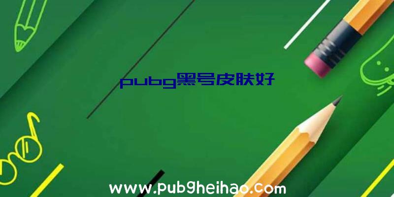 pubg黑号皮肤好