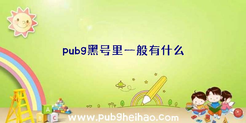 pubg黑号里一般有什么