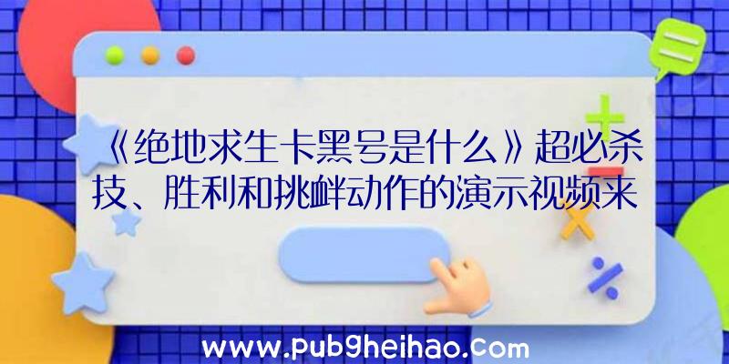 《绝地求生卡黑号是什么》超必杀技、胜利和挑衅动作的演示视频来了！