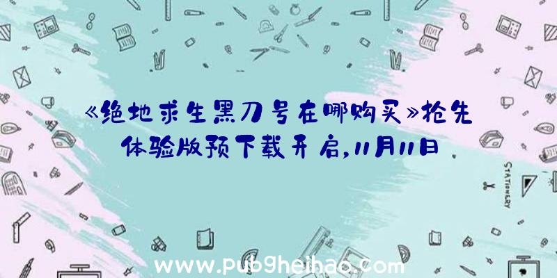 《绝地求生黑刀号在哪购买》抢先体验版预下载开启，11月11日上线！