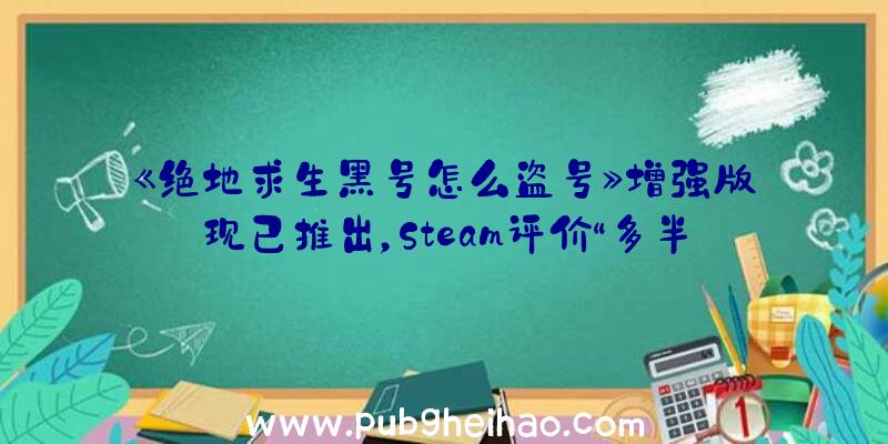 《绝地求生黑号怎么盗号》增强版现已推出，Steam评价“多半好评”