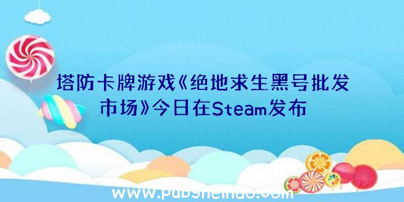 塔防卡牌游戏《绝地求生黑号批发市场》今日在Steam发布