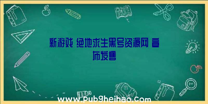 新游戏《绝地求生黑号资源网》宣布发售