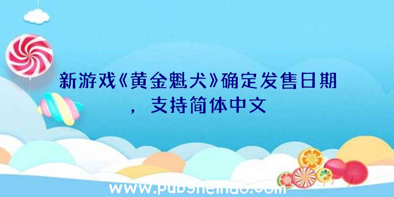 新游戏《黄金魁犬》确定发售日期，支持简体中文