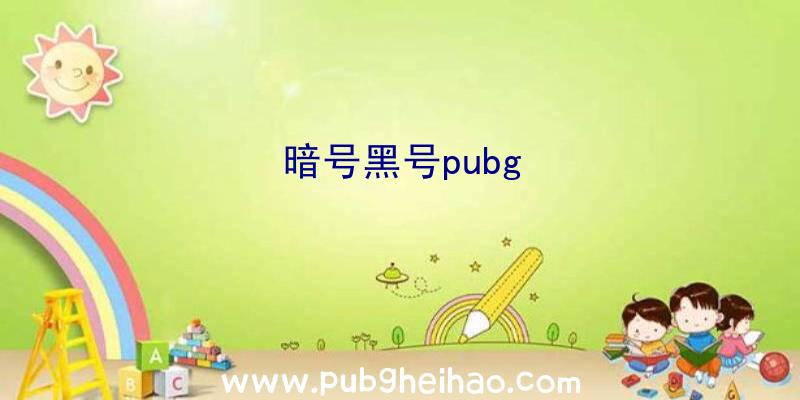 暗号黑号pubg