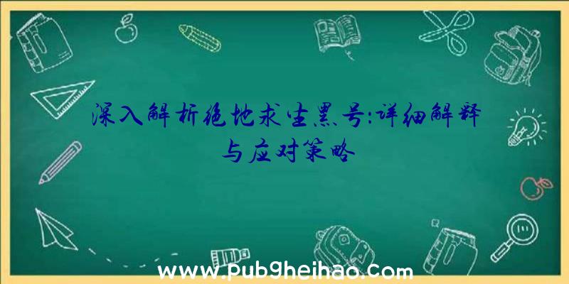 深入解析绝地求生黑号：详细解释与应对策略