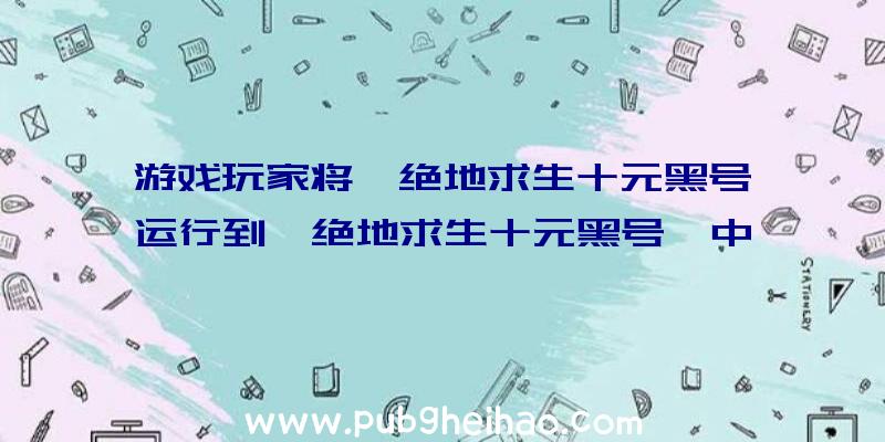 游戏玩家将《绝地求生十元黑号》运行到《绝地求生十元黑号》中