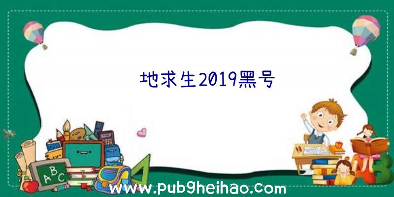 绝地求生2019黑号