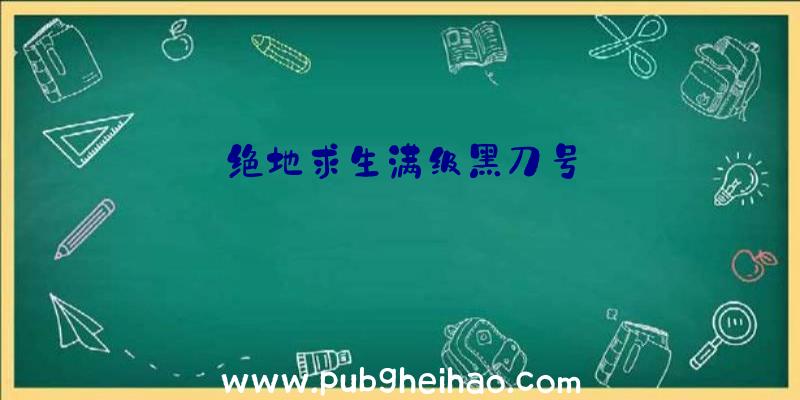 绝地求生满级黑刀号