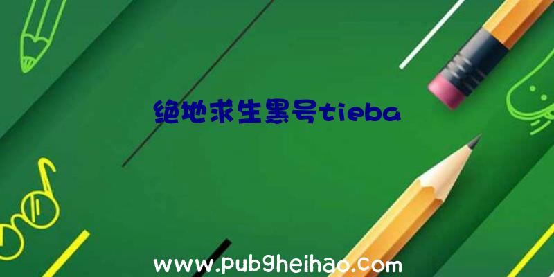 绝地求生黑号tieba