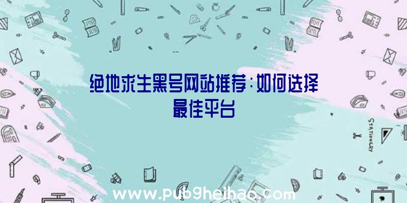 绝地求生黑号网站推荐：如何选择最佳平台