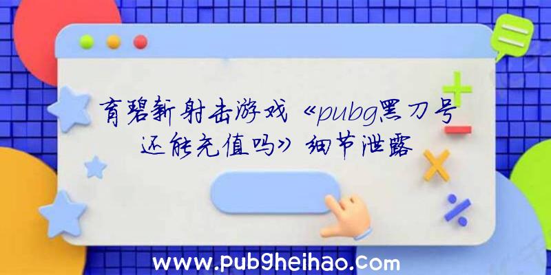 育碧新射击游戏《pubg黑刀号还能充值吗》细节泄露